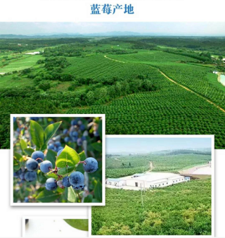 鄂州梁子湖白龙有机农业科技开发企业简介
